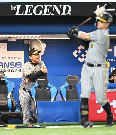 　余裕の表情で試合を見る岡田監督（撮影・金田祐二）