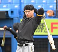 　試合前の打撃練習に臨む佐藤輝（撮影・高部洋祐）