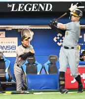 　余裕の表情で試合を見る岡田監督（撮影・金田祐二）