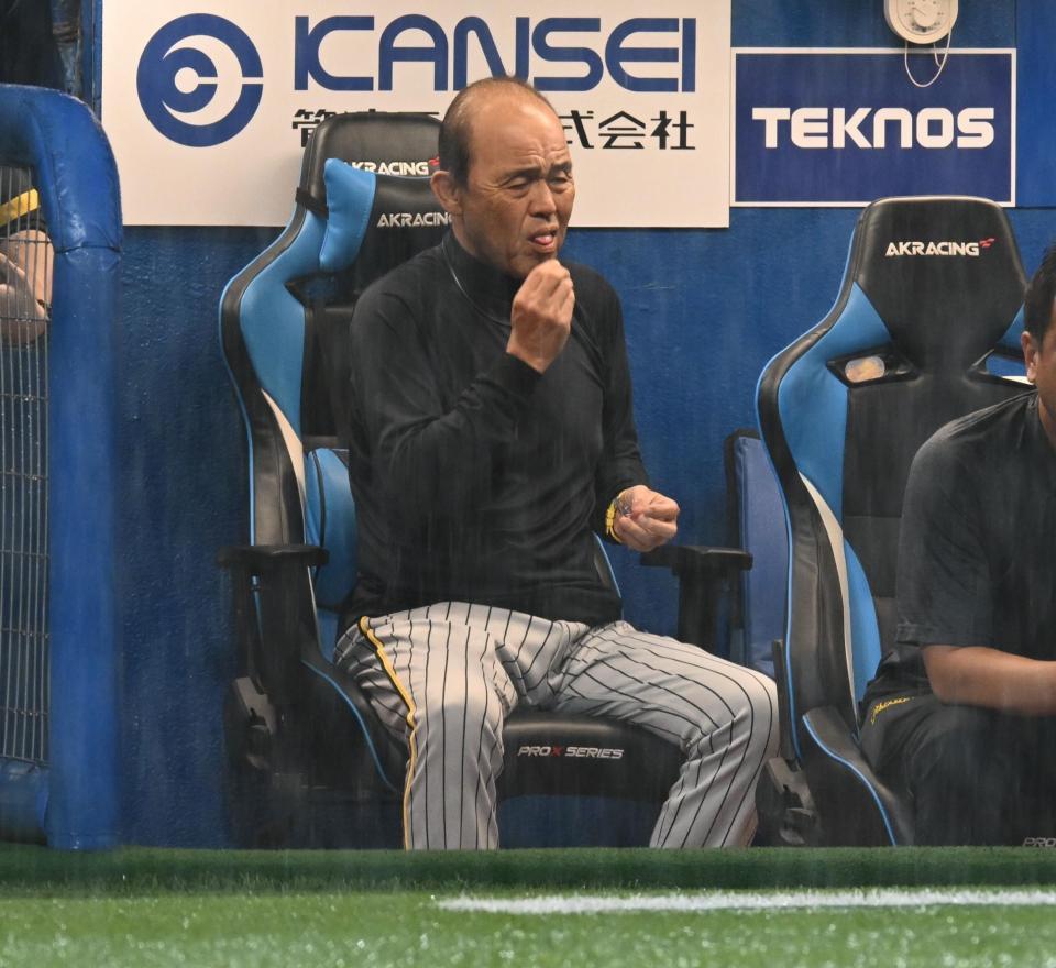 　雨のグラウンドを見つめ厳しい表情の岡田監督（撮影・金田祐二）