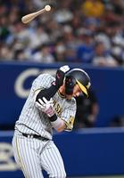 　１１回、死球を受ける木浪（撮影・飯室逸平）