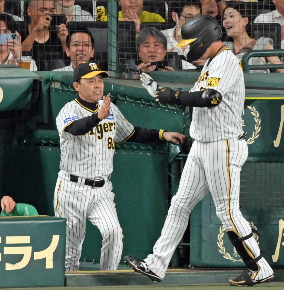 　４回、先制２ランを放った大山（右）とタッチを交わす岡田監督（撮影・立川洋一郎）