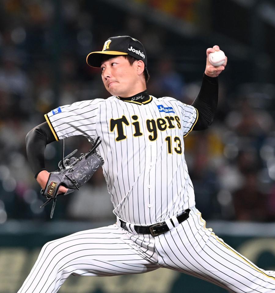 　９回、力投する岩崎（撮影・飯室逸平）