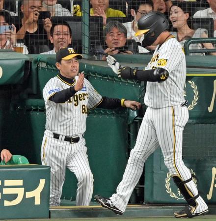　４回、先制２ランを放った大山（右）とタッチを交わす岡田監督（撮影・立川洋一郎）
