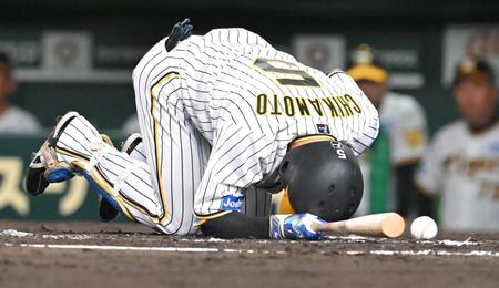 　７回、死球を受けうずくまる近本（撮影・高部洋祐）