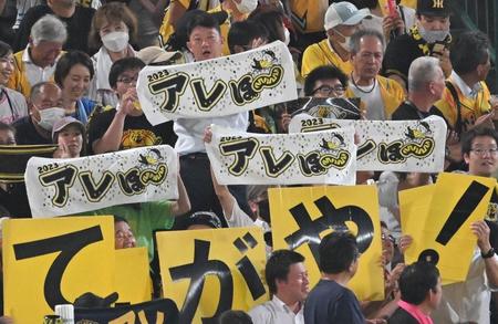 　アレほ～タオルを掲げ応援するファン（撮影・高部洋祐）