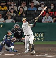 阪神タイガース甲子園100周年記念 岡田監督大山選手中野選手3点セット（非売品） 阪神タイガース甲子園100周年記念 岡田監督大山選手中野選手3点