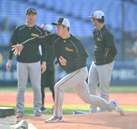 　マウンドを確かめる青柳（撮影・金田祐二）