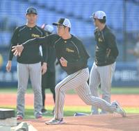 　マウンドを確かめる青柳（撮影・金田祐二）