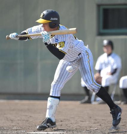 　５回、内角の球をよける植田（撮影・北村雅宏）