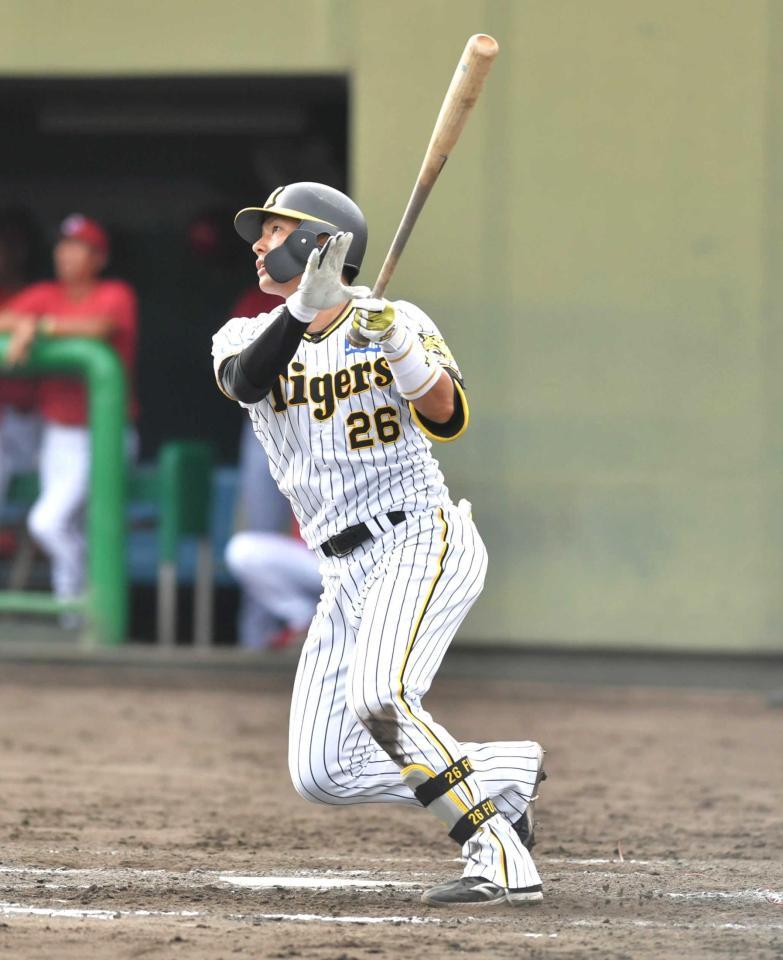 割引 阪神タイガース北条選手バッティンググラブ - 野球