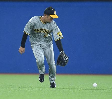 　４回、オスナの打球をファンブルする島田（撮影・棚橋慶太）