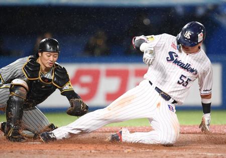 　４回、浜田の左邪飛で本塁を狙うもタッチアウトになった村上。捕手は坂本（撮影・棚橋慶太）