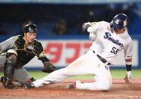 　４回、浜田の左邪飛で本塁を狙うもタッチアウトになった村上。捕手は坂本（撮影・棚橋慶太）