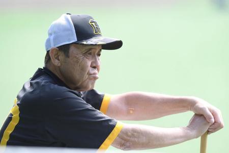 　練習を見つめる岡田監督（撮影・中田匡峻）