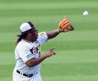 　打撃練習の打球を追うミエセス（撮影・山口登）