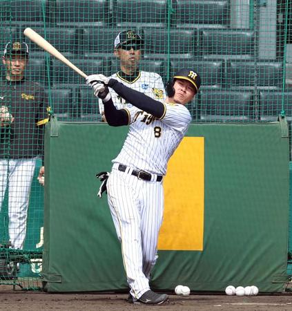 　打撃練習をする佐藤輝（撮影・山口登）