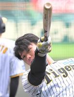 　打撃練習に励む森下（撮影・高部洋祐）