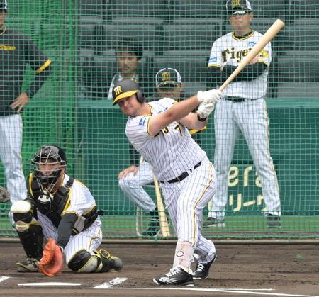 　シート打撃で左中間への安打を放つノイジー