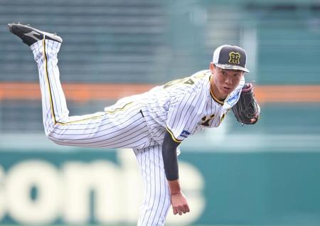 　シート打撃に登板した湯浅（撮影・中田匡峻）