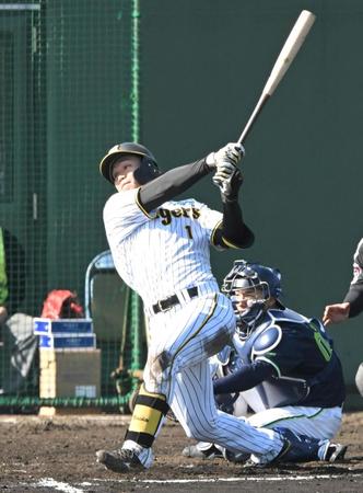 　７回、右越えに３ランを放つ森下（撮影・高部洋祐）