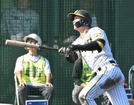 　７回、右越えに３ランを放つ森下（撮影・高部洋祐）