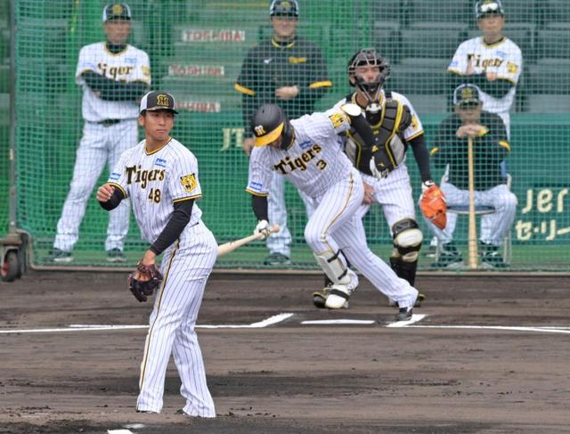 阪神“岡田流英才教育” 高卒1年目・門別＆茨木が主力打者に腕試し