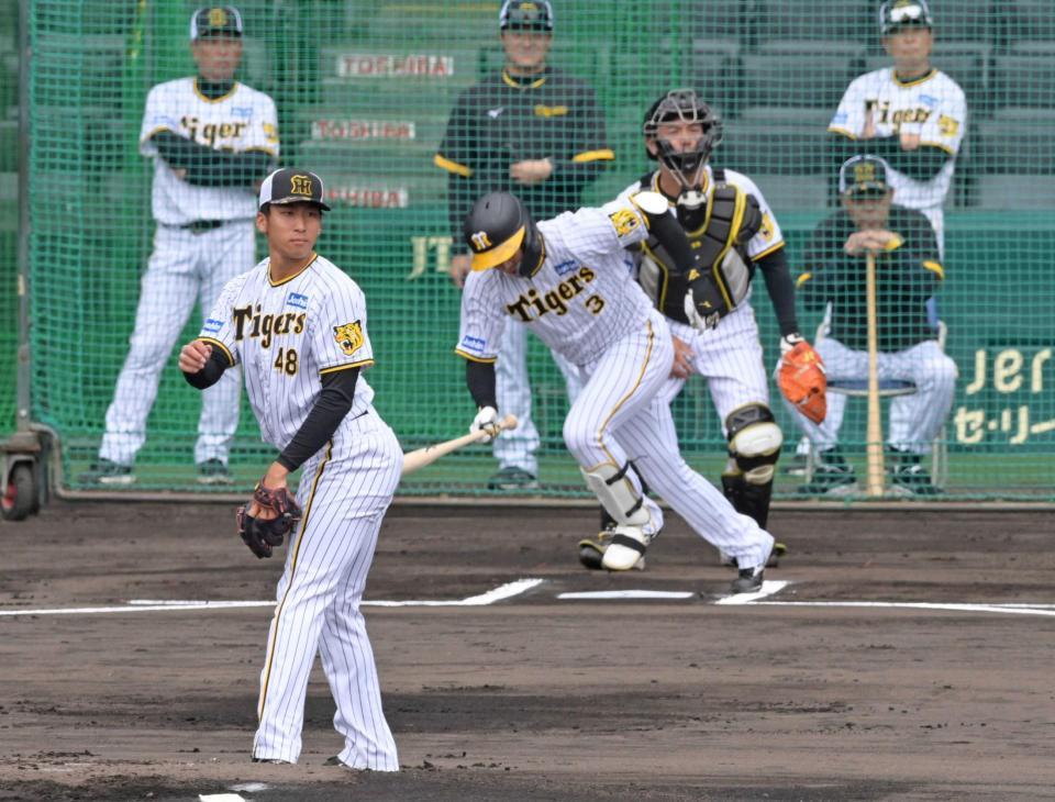 　岡田監督（右後方）の前で大山を打ち取る茨木（撮影・立川洋一郎）