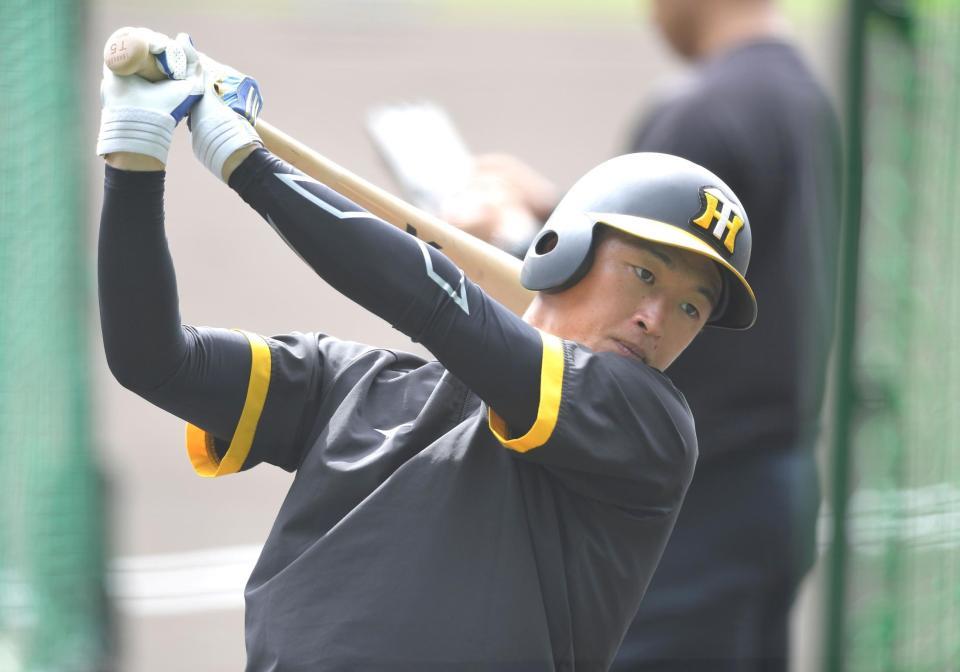 　打撃練習する近本（撮影・北村雅宏）