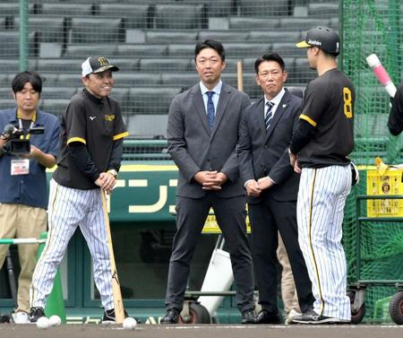 　佐藤輝（８）と談笑する（左から）岡田監督、吉見氏、侍ジャパン・井端監督（撮影・立川洋一郎）