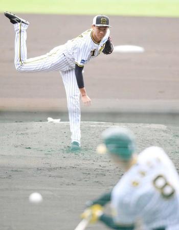 　シート打撃で佐藤輝（８）と対峙する湯浅