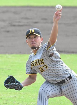 　力投する伊藤将（撮影・高部洋祐）