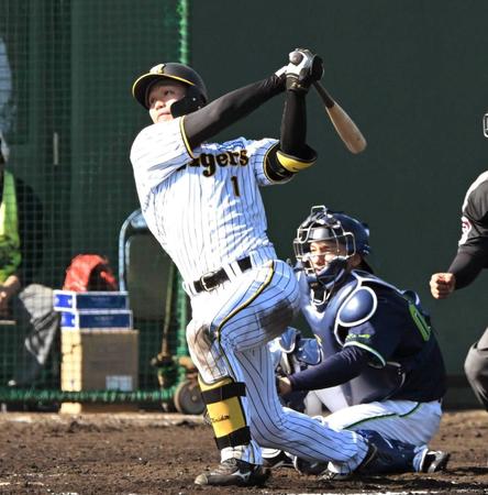 　７回、右越えに３ランを放つ森下（撮影・高部洋祐）