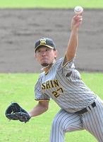 　力投する伊藤将（撮影・高部洋祐）