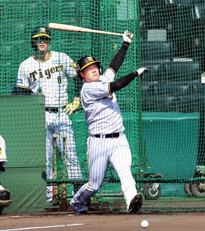 　打撃練習で快音を響かせる大山