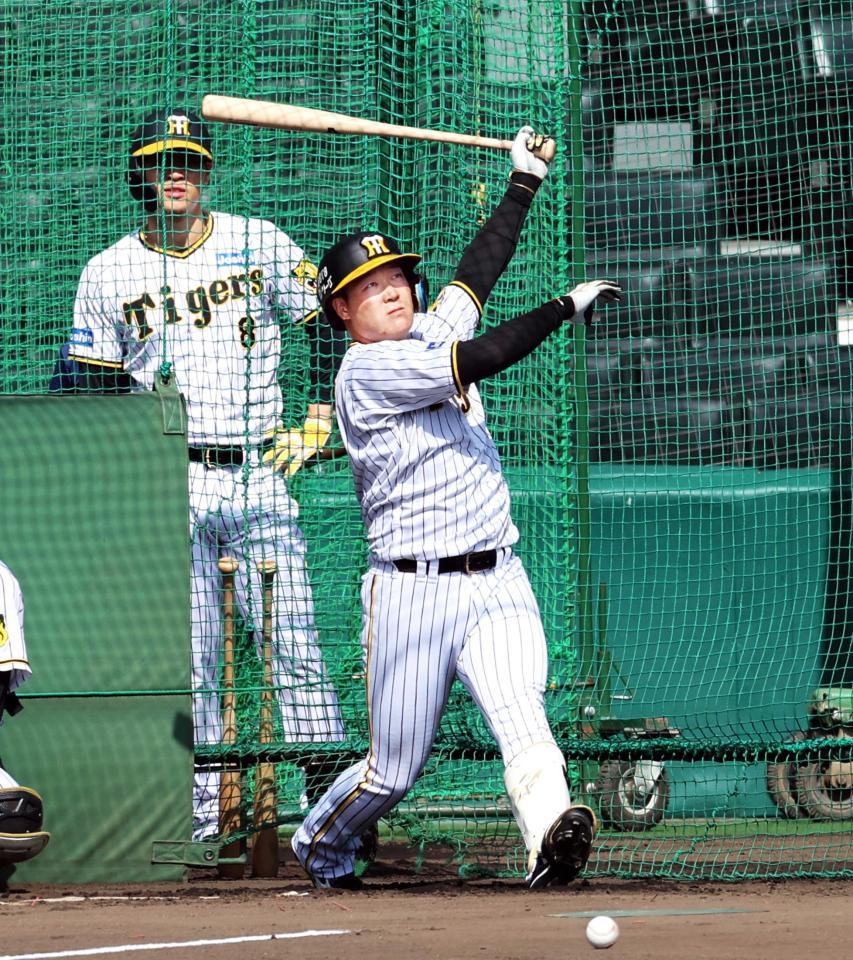 　打撃練習で快音を響かせる大山