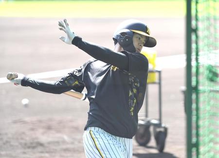 　打撃練習する中野（撮影・北村雅宏）