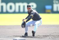 　守備練習に励む佐藤輝（撮影・北村雅宏）