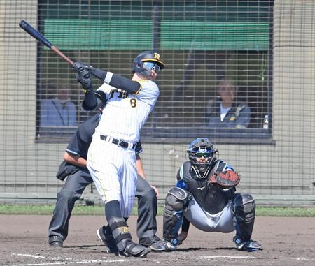 ５回、岡田監督（後方右）の前でソロを放つ佐藤輝（撮影・中田匡峻）