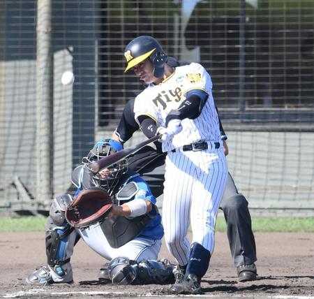 ６回、センターへ勝ち越しの２点適時二塁打を放つ坂本（撮影・中田匡峻）