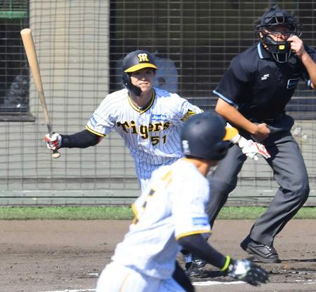 　６回、右前打を放つ中野。手前は一走の近本（撮影・中田匡峻）