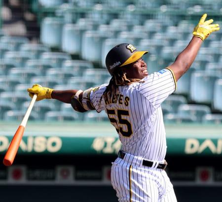 　シート打撃で快音を響かせるミエセス（撮影・山口登）