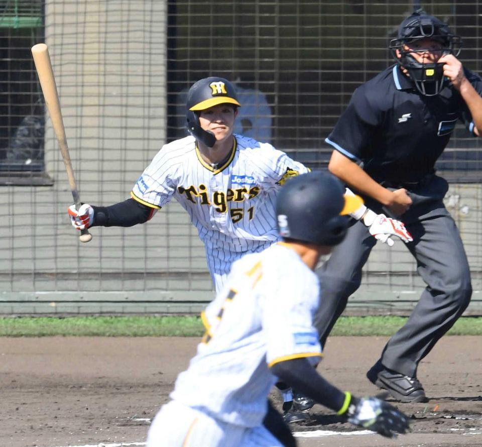 　６回、右前打を放つ中野。手前は一走の近本（撮影・中田匡峻）