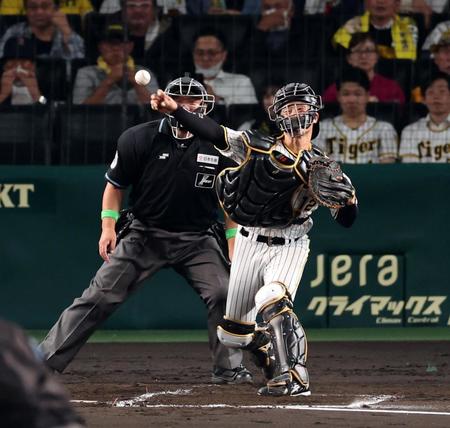 　３回、盗塁を狙った野間をアウトにする坂本（撮影・山口登）