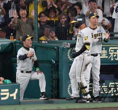 　４回、同点ソロを放った森下を迎える岡田監督（撮影・山口登）