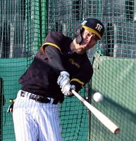 　打撃練習する佐藤輝（撮影・山口登）