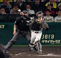 　３回、盗塁を狙った野間をアウトにする坂本（撮影・山口登）