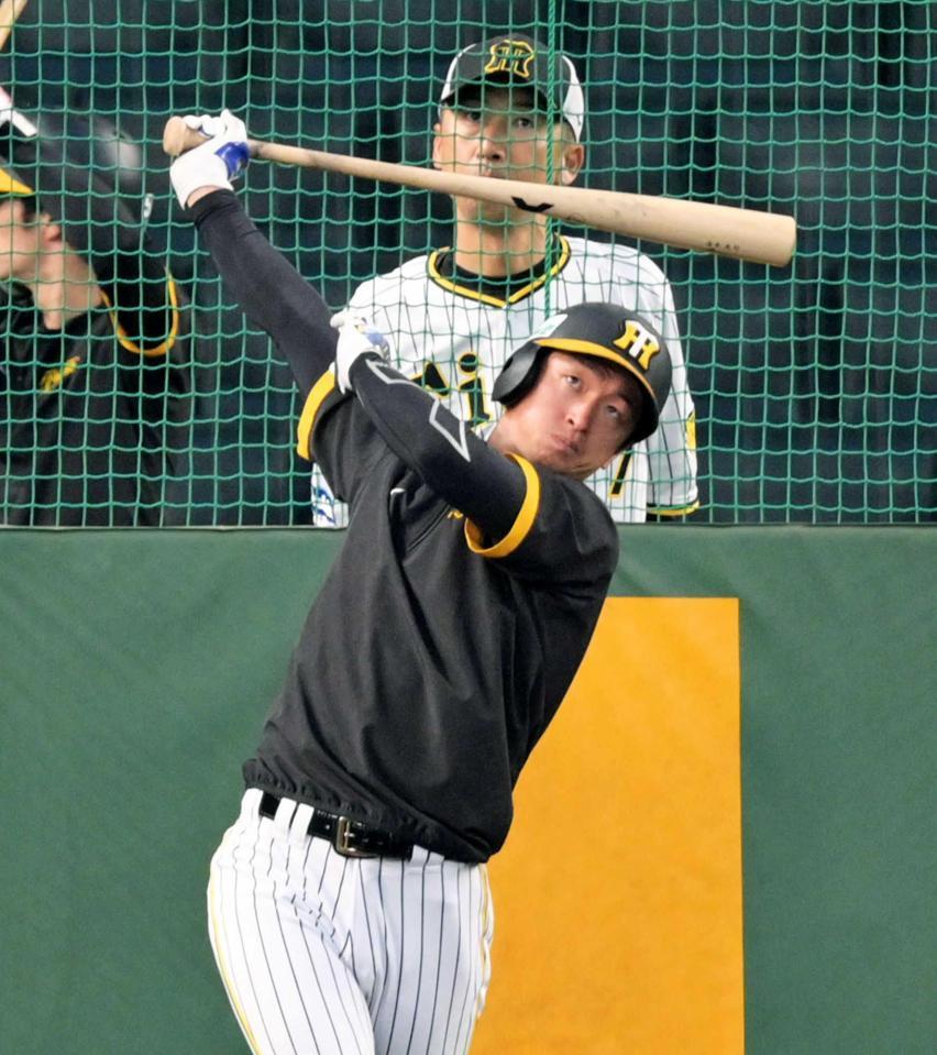 　フリー打撃で快音を響かせる近本（撮影・立川洋一郎）