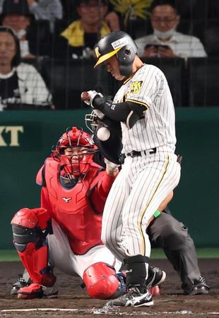 　５回、死球を受ける坂本