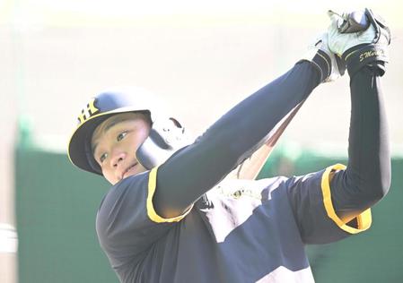 　試合前に打撃練習に励む森下（撮影・高部洋祐）